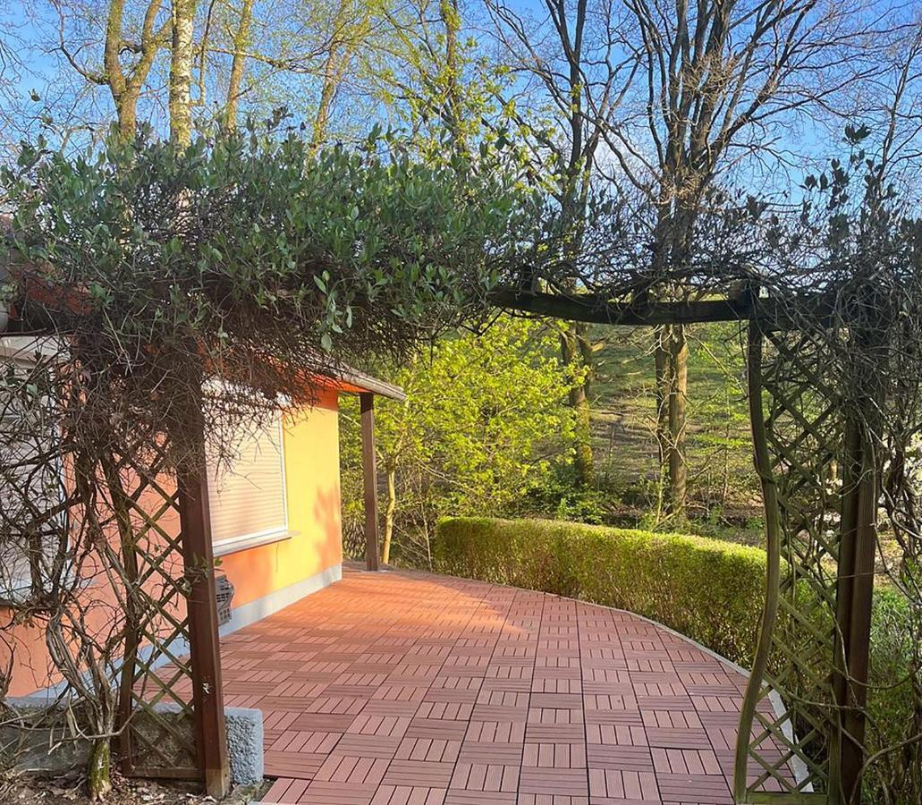 Ferienhaus Am Urzeitpark Sebnitz Hertigswalde Экстерьер фото