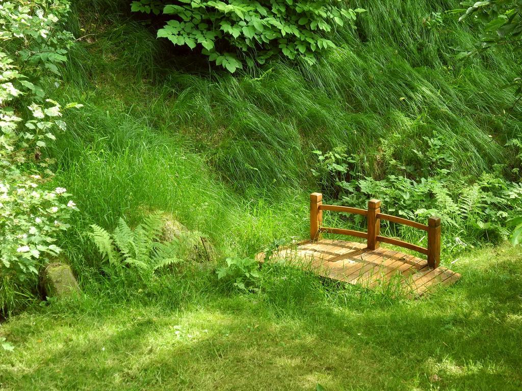 Ferienhaus Am Urzeitpark Sebnitz Hertigswalde Экстерьер фото